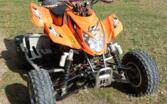 Arctic Cat DVX400