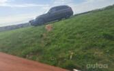 BMW 3 Series F30/F31/F34 [restyling] Sedan