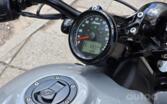 Indian Scout