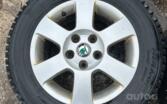 Skoda, lietie