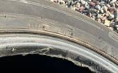Falken