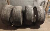 Pirelli