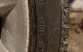 Pirelli