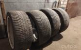 Pirelli