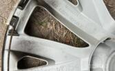 Riepas, Citas