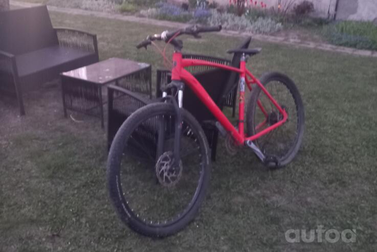 Mtb Nk