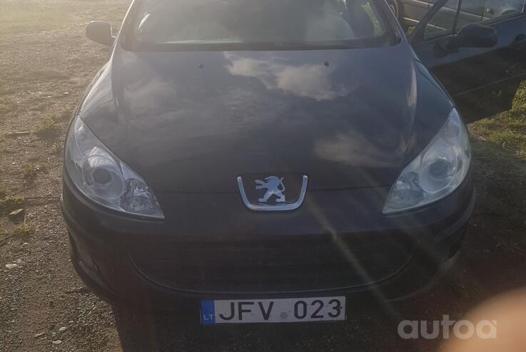 Peugeot 407 1 generation wagon