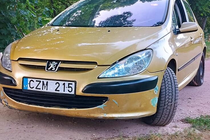 Peugeot 307 1 generation Hatchback 5-doors