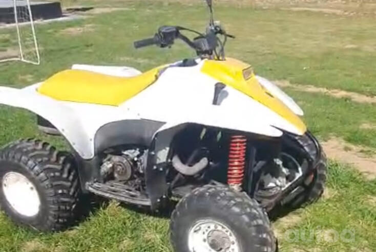 Polaris Trail Blazer