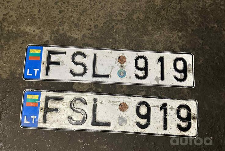 FSL919