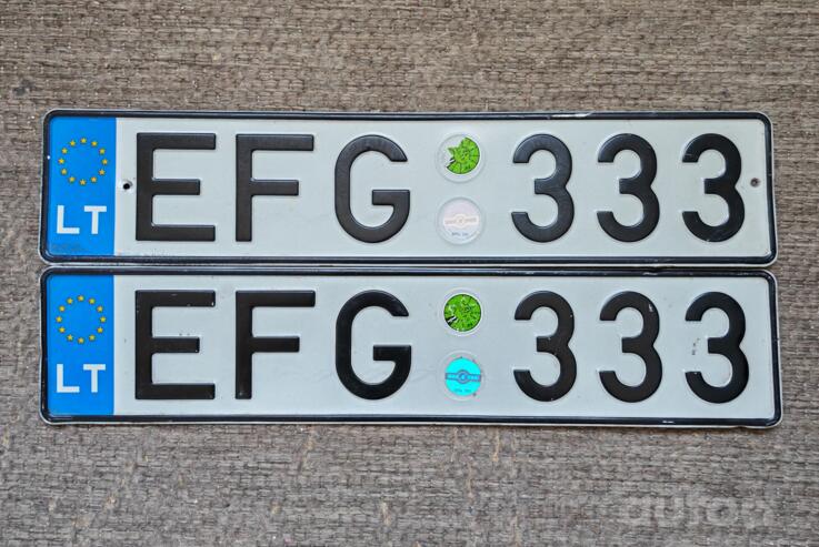 EFG333