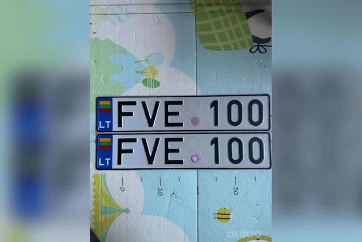 FVE100