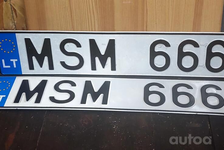 MSM666