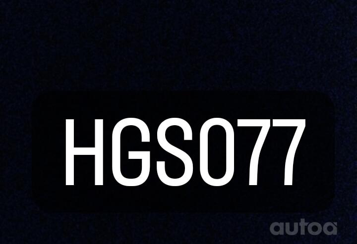 HGS077