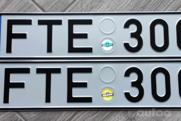 FTE300