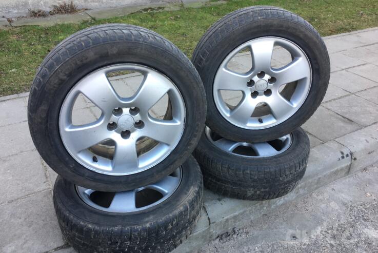 Audi, lietie