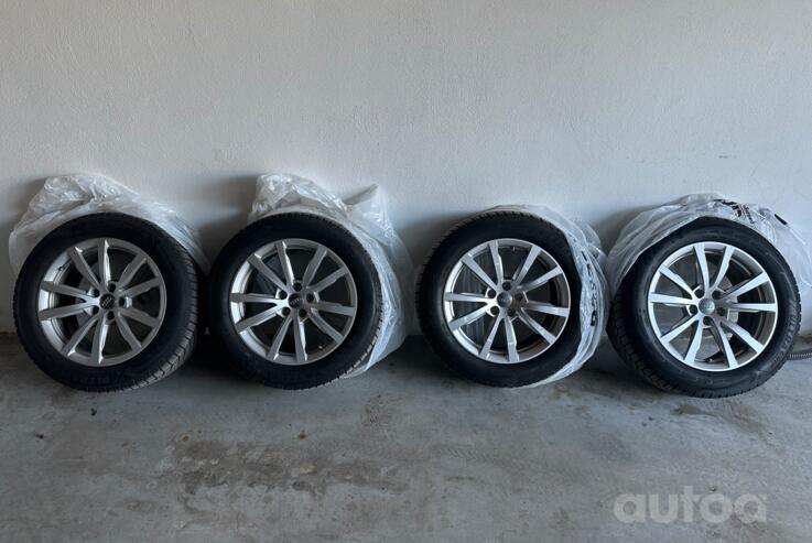 Audi, lietie