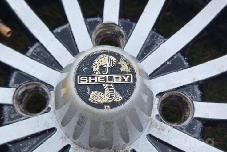 Shelby, lietie