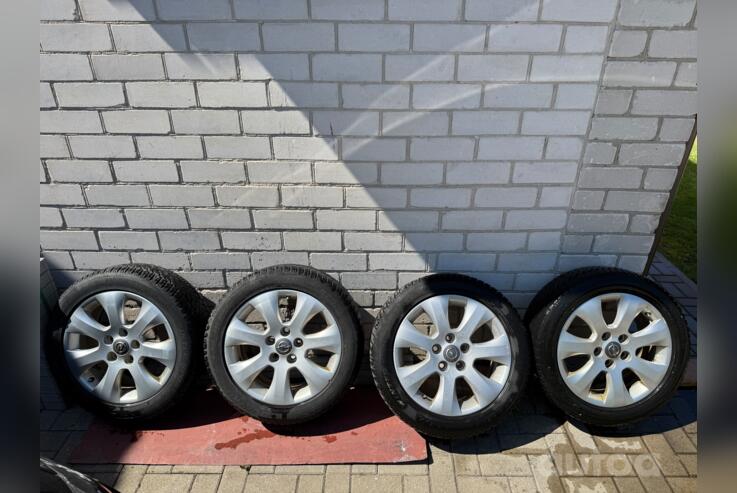 Opel, lietie