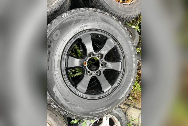 Toyo